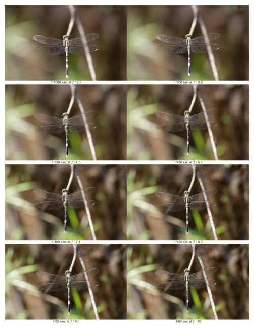 Depth of Field at Different Aperatures