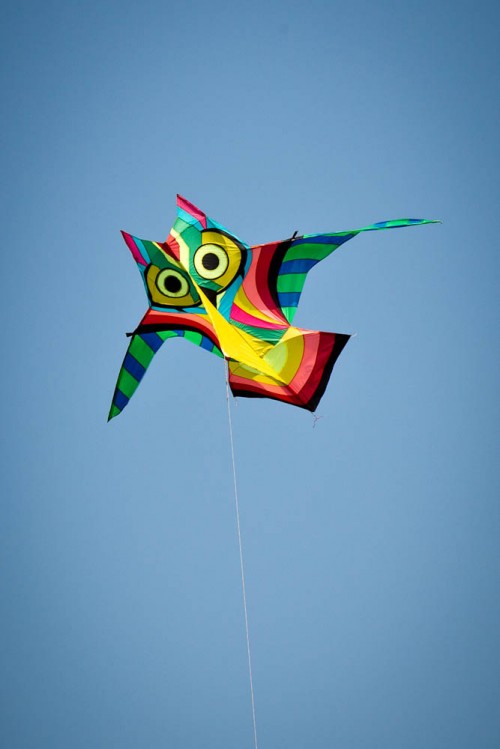 International Kite Festival 2012