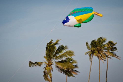 International Kite Festival 2012