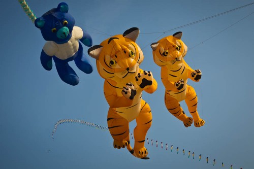 International Kite Festival 2012