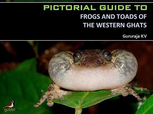 Pictorial Guide to Frogs and Toads of the Western Ghats – A Brief ...