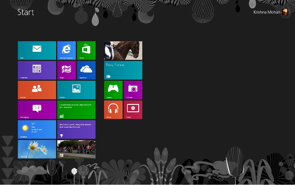 Windows8 Desktop