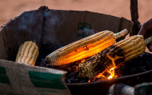 Roasted Corn Cob