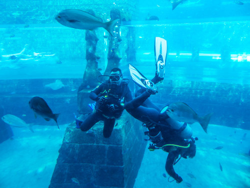 Shark Tank inside Aquaventure waterpark