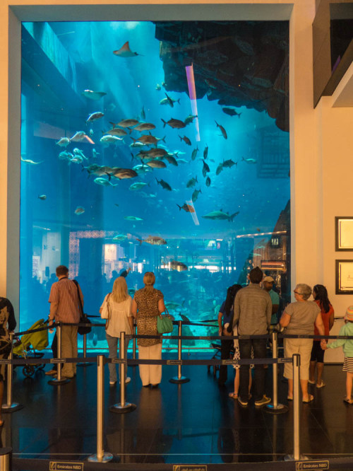 Dubai Aquarium and Underwater Zoo