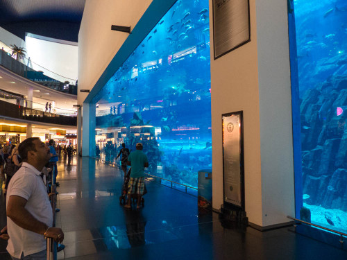 Dubai Aquarium and Underwater Zoo