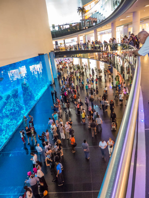 Dubai Aquarium and Underwater Zoo