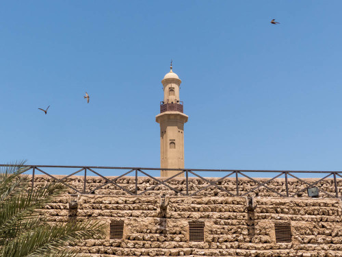 Grand Mosque Minaret From The Dubai Museum with Flying Common Swifts