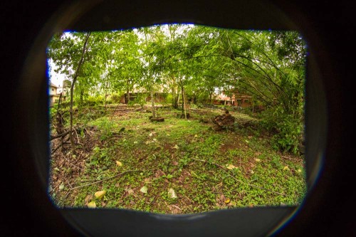 Samyang 8mm fisheye on 5D Mark III