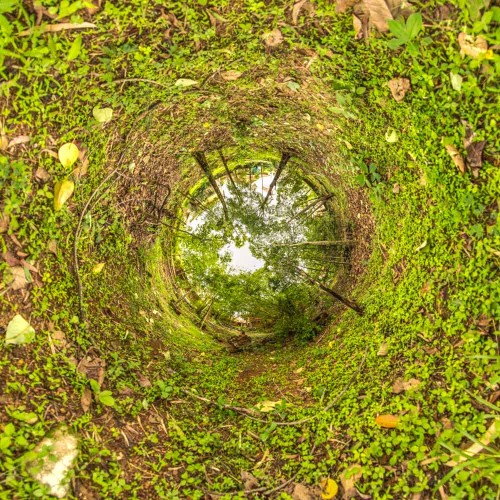 Down the Rabbit Hole - Stereographic Down Projection