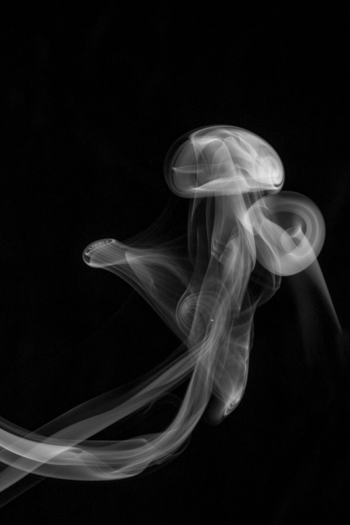 Art of Smoke Photography