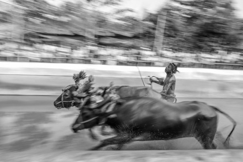 Moodabidri Kambala 2015