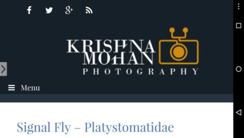 Android App for My Blog