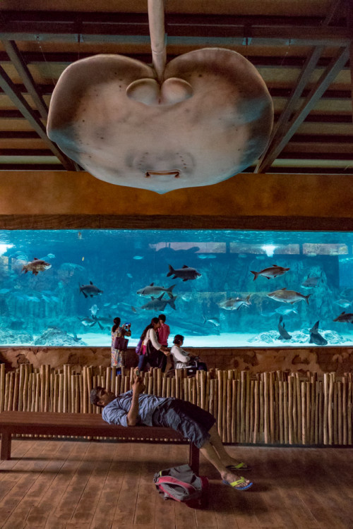 Trying 360 degree view of River Safari exhibits