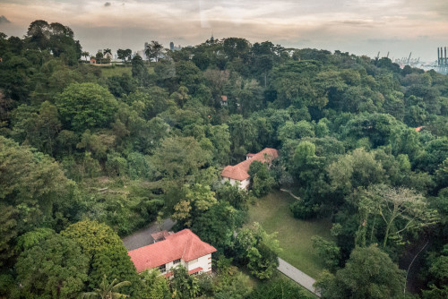 From Cable car - Mount Faber Park