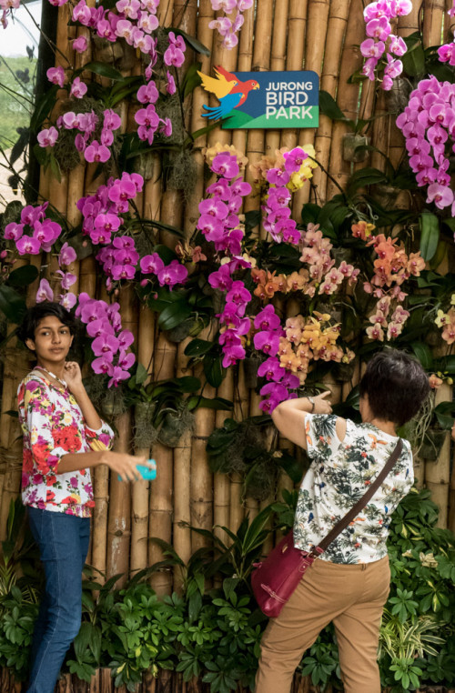 Jurong Bird Park