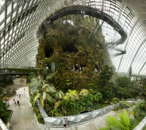 Cloud Forest Panorama