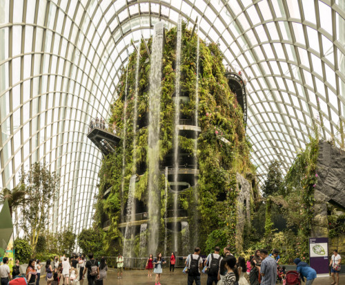 Cloud Forest Conservatory