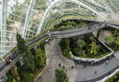 Tree Top Walk