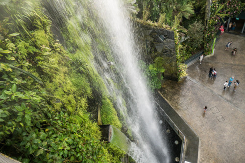 Waterfall View