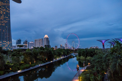 Singapore Flyer View