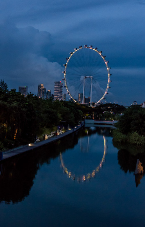 Singapore Flyer View