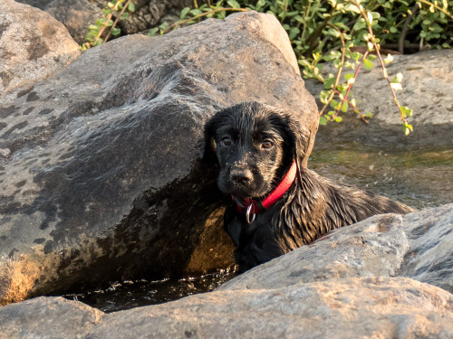 Carbon wanting us to join her in water