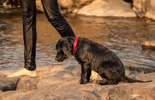 Carbon exhausted after playing in water