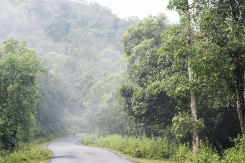 The 'Kans' - A lost world, within the Western Ghats