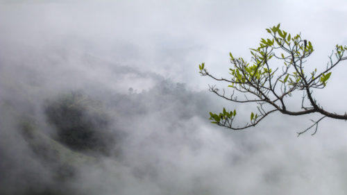 Focus Stacking a Landscape