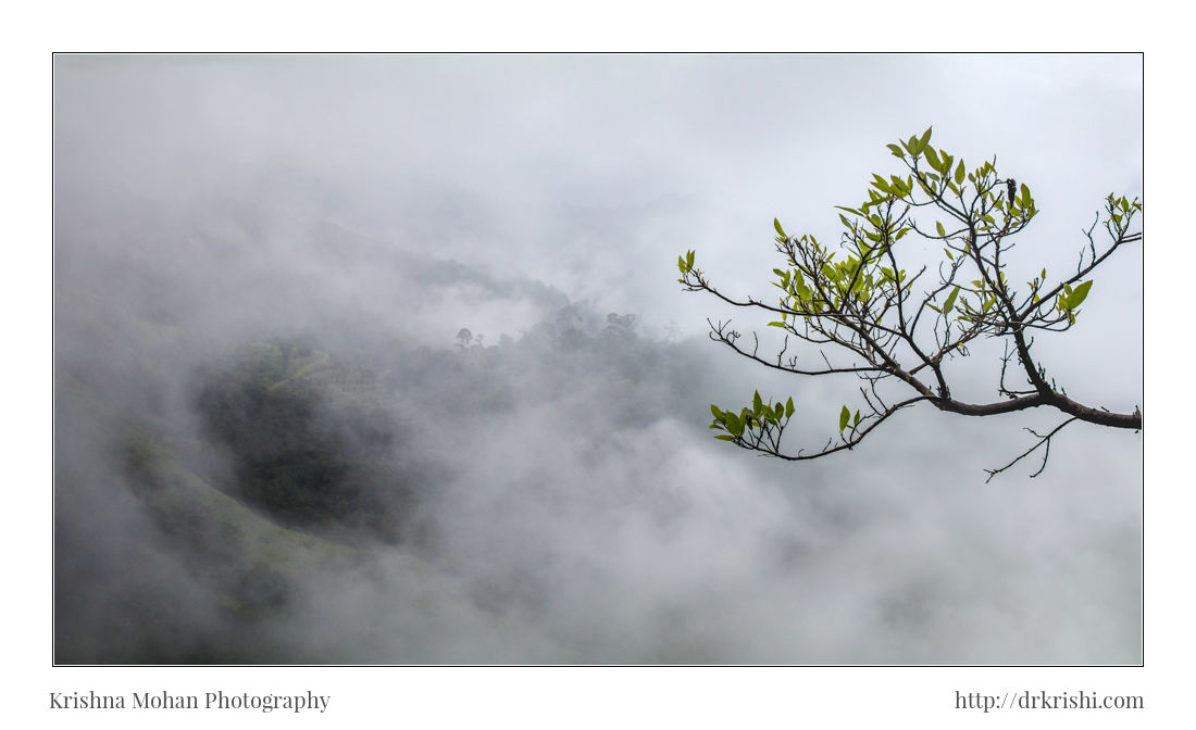 Focus Stacking a Landscape