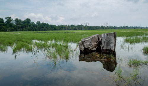 Preah Khan baray