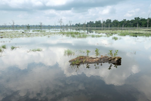 Preah Khan baray