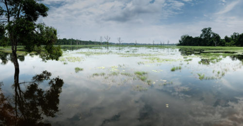 Preah Khan baray Panorama