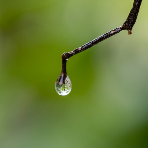 Waterdrop