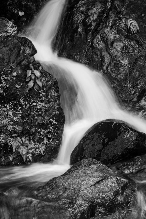 Waterfall in Black & White Rendition