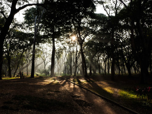 Sunbeams & composition