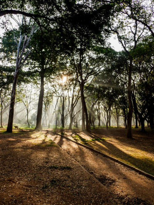 Sunbeams & composition