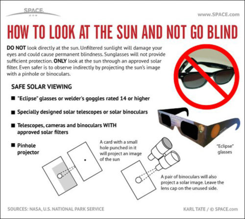 Solar Eclipse Eye Saftey