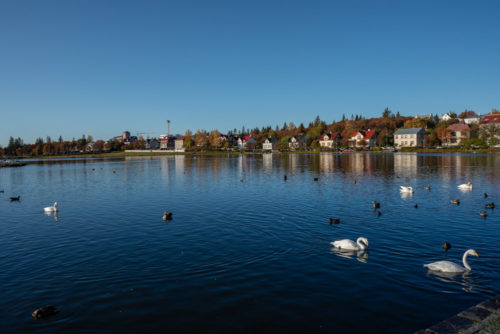 Tjörnin