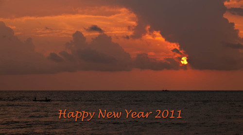 Happy New Year 2011