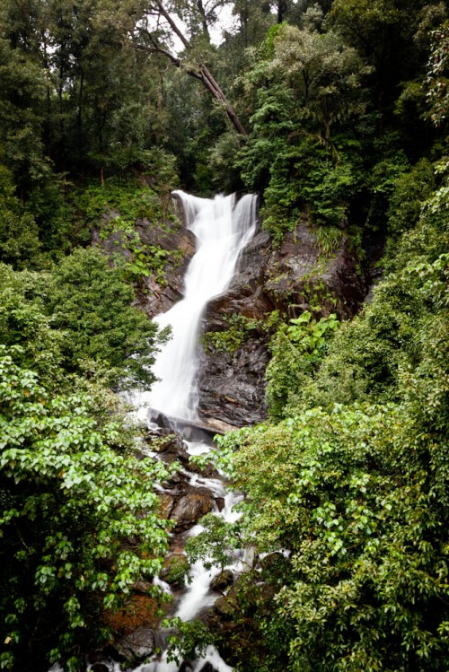 Kadambi Waterfall