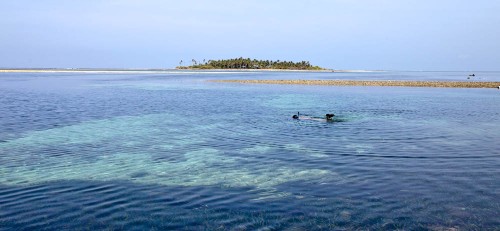 Snorkeling in shallow waters, Pitti Island is far away