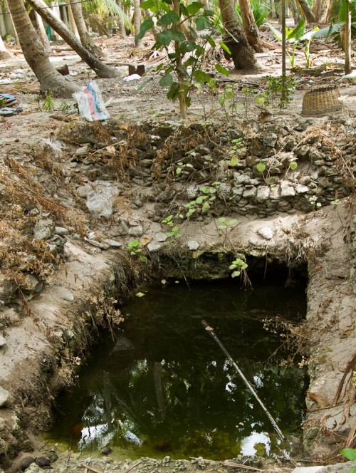 Fresh water pool