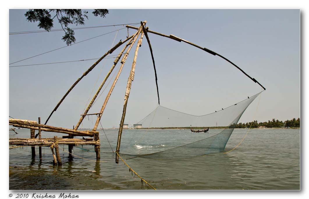 Chinese nets