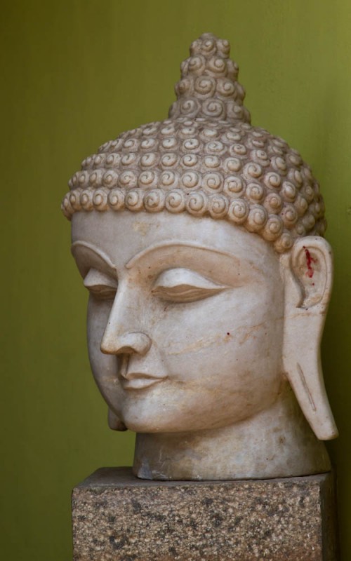 Head of the Buddha