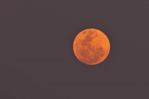 Hazy Supermoon with 300mm + 1.4x