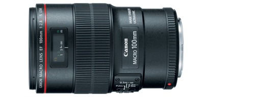 Canon EF 100 f/2.8L Hybrid IS Macro