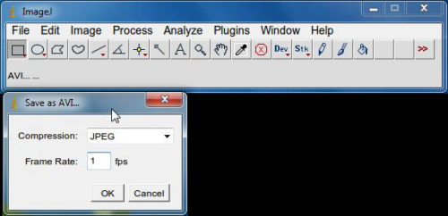 AVI frame rate setting